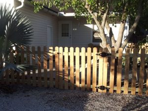 Wood Picket Fence Sarasota, Florida