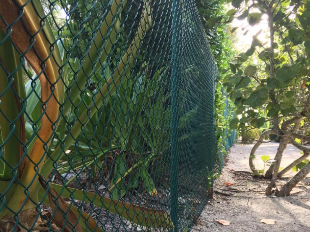 Photo of a chain link from a Sarasota fence company