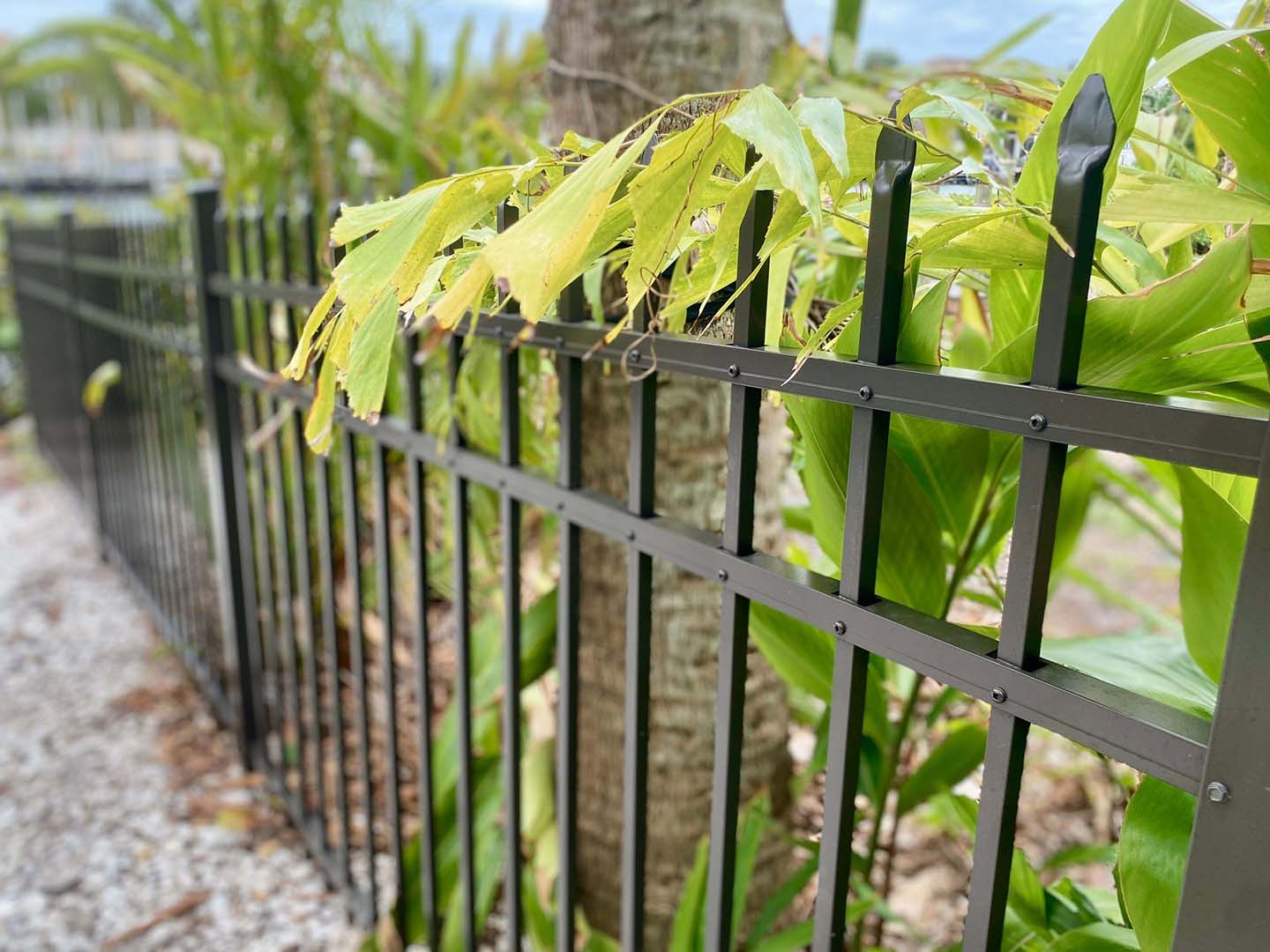 Photo of a Florida aluminum fence